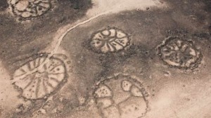 disegni-giordania-500x281